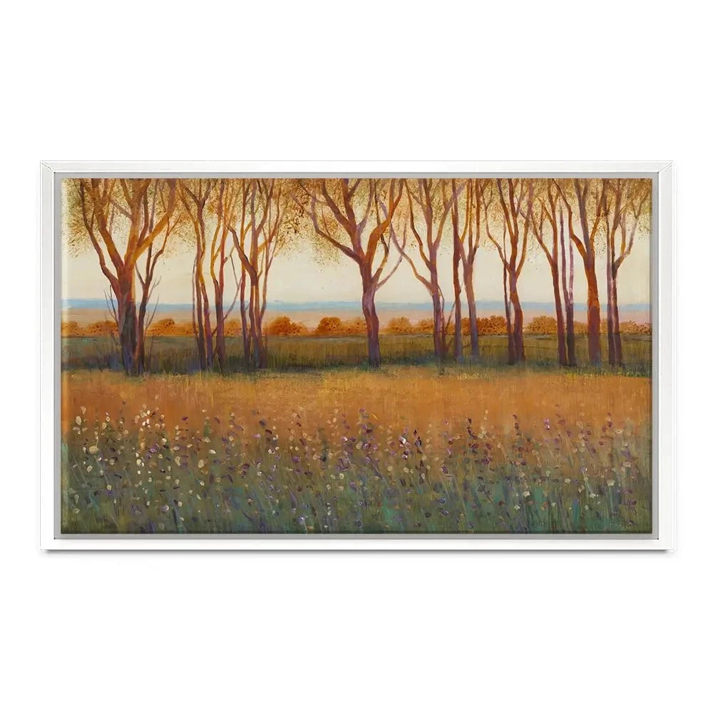 Glow In The Afternoon Canvas Print Glow In The Afternoon Canvas Print wall art product Tim O'Toole