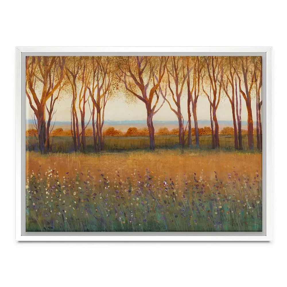 Glow In The Afternoon Canvas Print Glow In The Afternoon Canvas Print wall art product Tim O'Toole