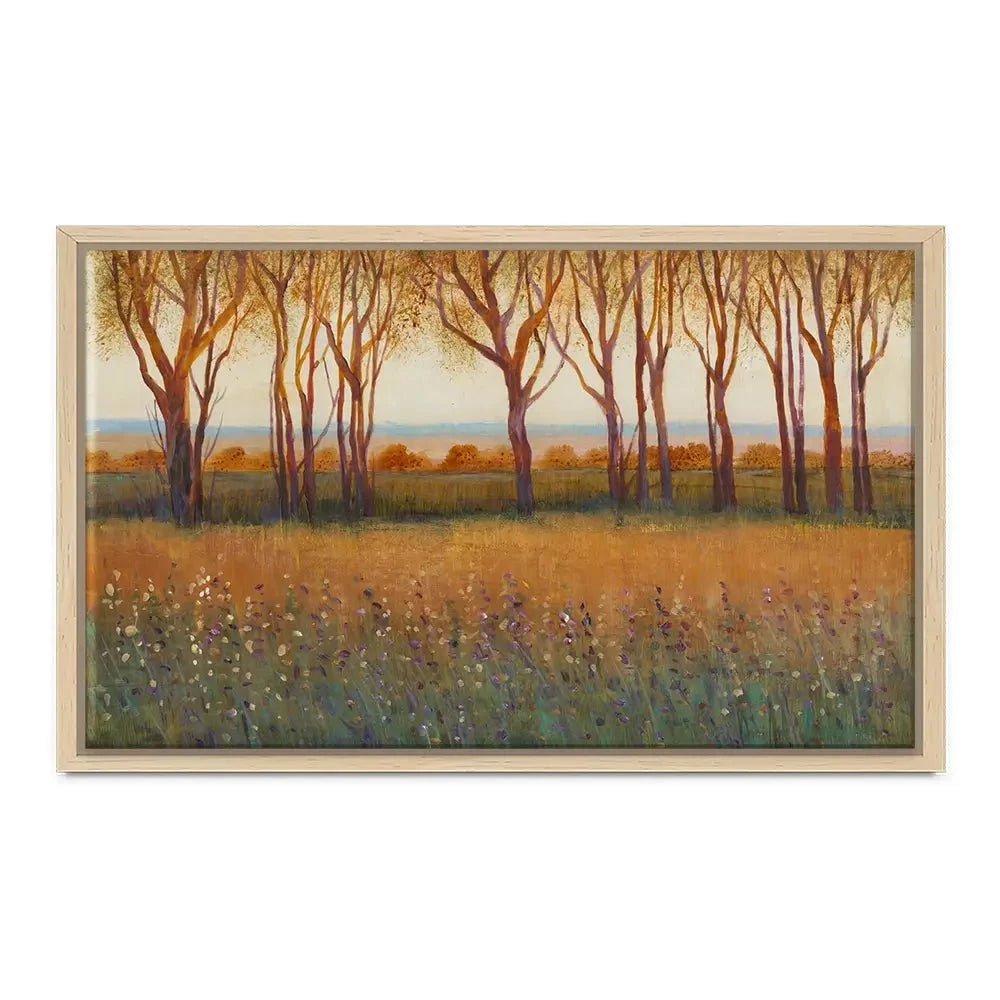 Glow In The Afternoon Canvas Print Glow In The Afternoon Canvas Print wall art product Tim O'Toole
