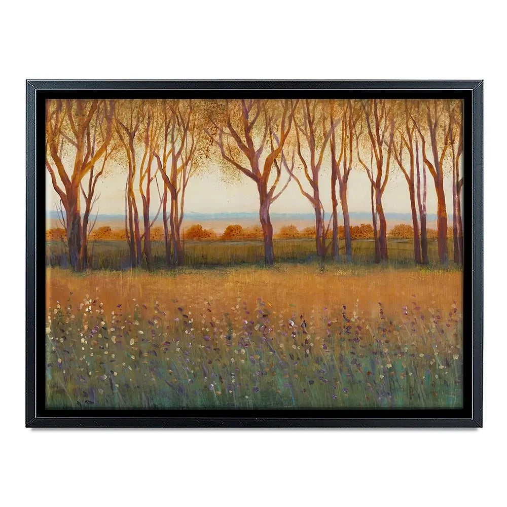 Glow In The Afternoon Canvas Print Glow In The Afternoon Canvas Print wall art product Tim O'Toole