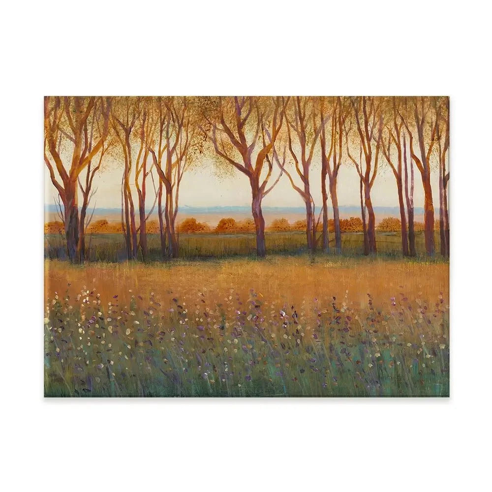 Glow In The Afternoon Canvas Print Glow In The Afternoon Canvas Print wall art product Tim O'Toole