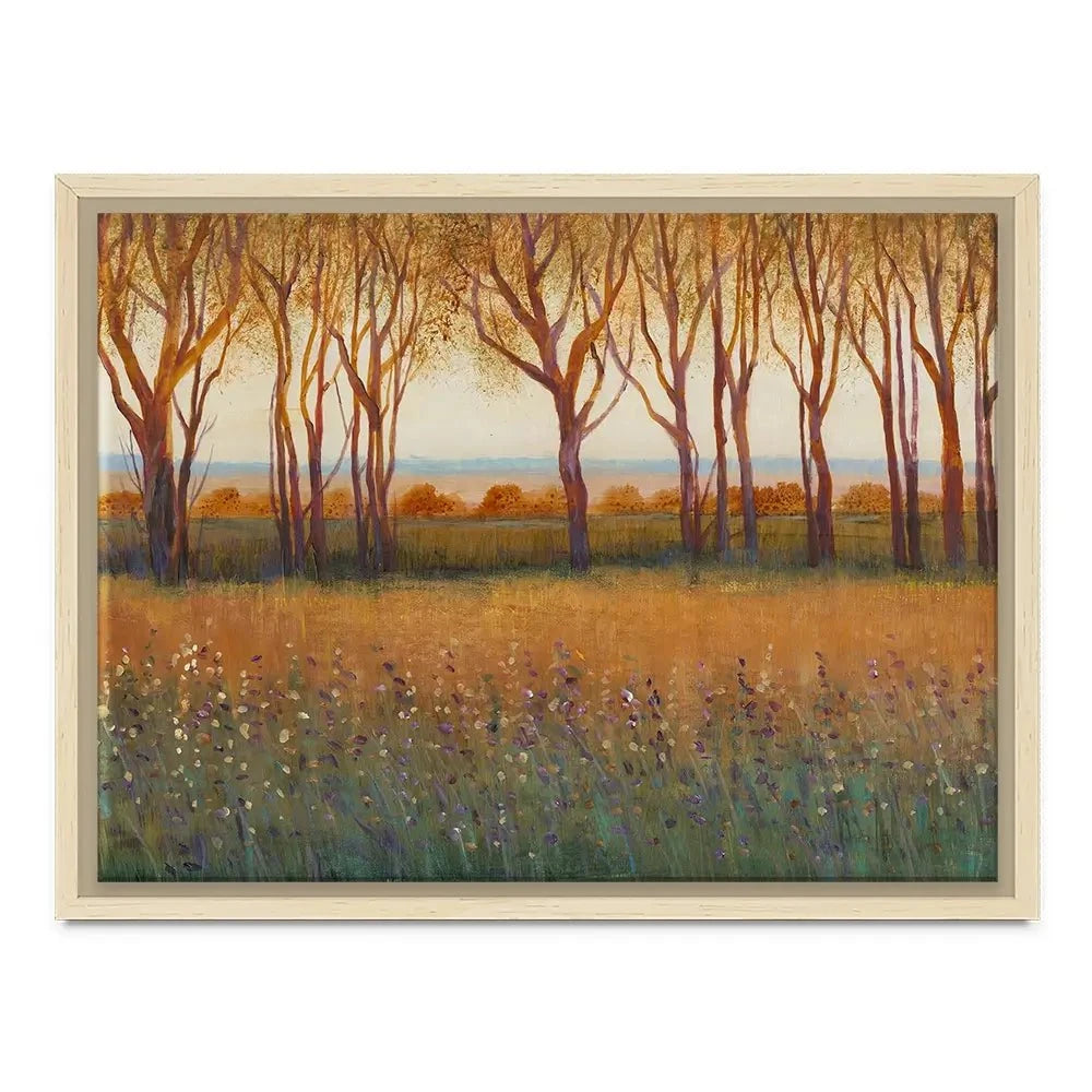 Glow In The Afternoon Canvas Print Glow In The Afternoon Canvas Print wall art product Tim O'Toole