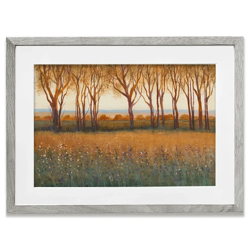 Glow In The Afternoon Framed Art Print Glow In The Afternoon Framed Art Print wall art product Tim O'Toole