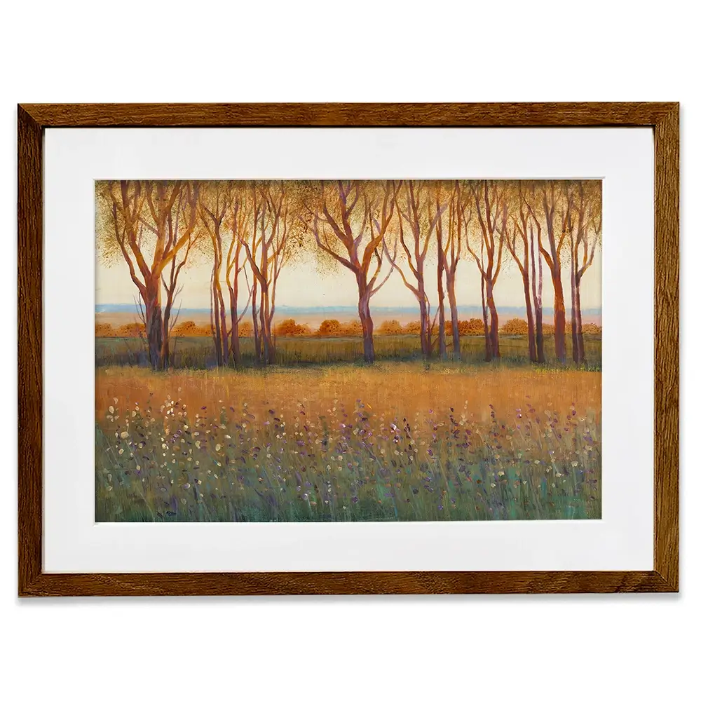Glow In The Afternoon Framed Art Print Glow In The Afternoon Framed Art Print wall art product Tim O'Toole