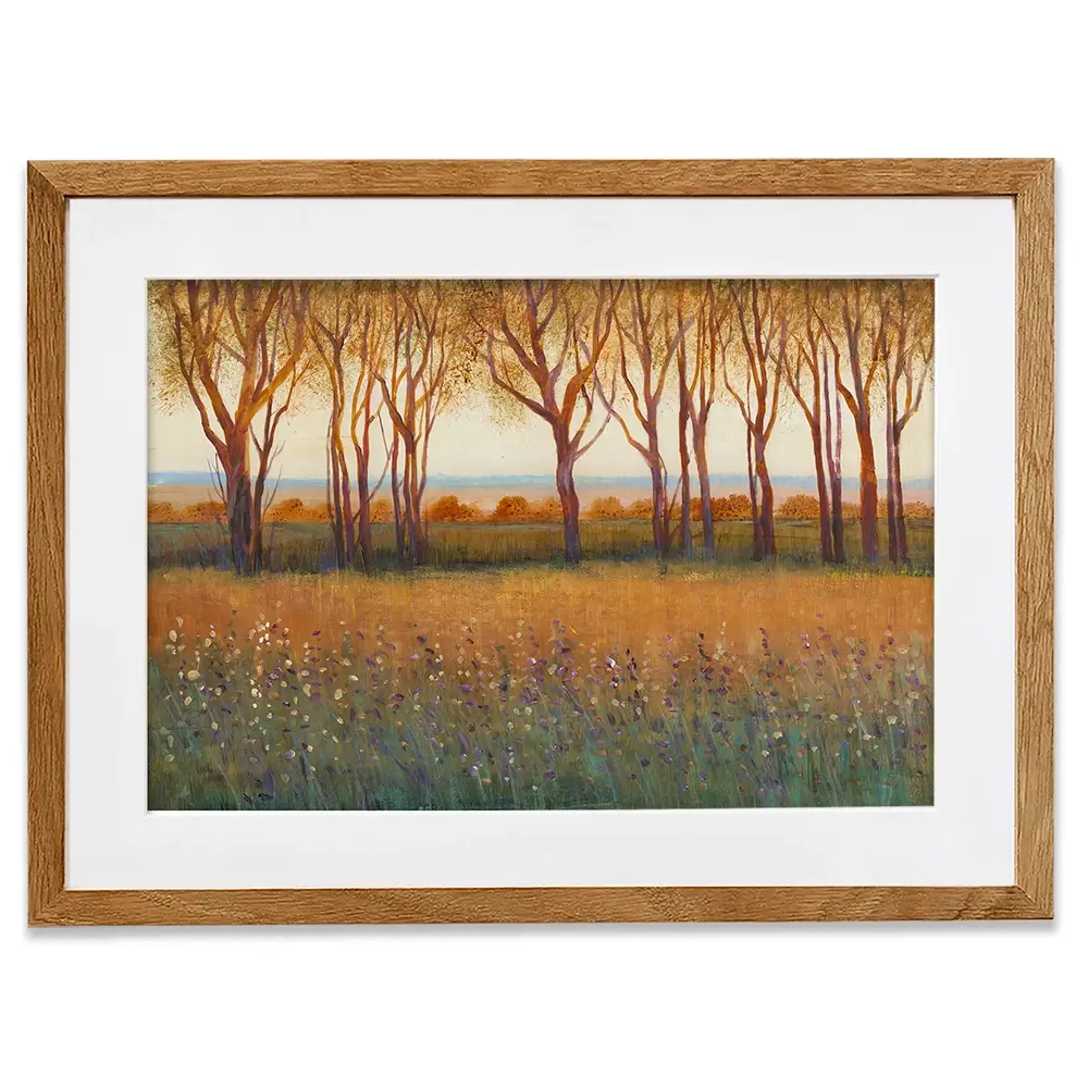 Glow In The Afternoon Framed Art Print Glow In The Afternoon Framed Art Print wall art product Tim O'Toole