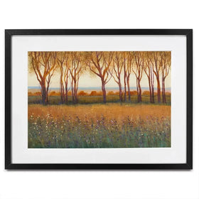 Glow In The Afternoon Framed Art Print Glow In The Afternoon Framed Art Print wall art product Tim O'Toole