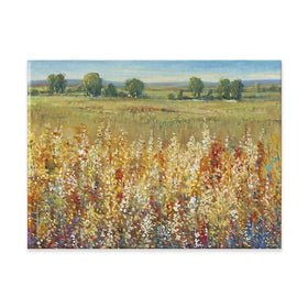 Gold And Red Field Canvas Print Gold And Red Field Canvas Print wall art product Tim O'Toole