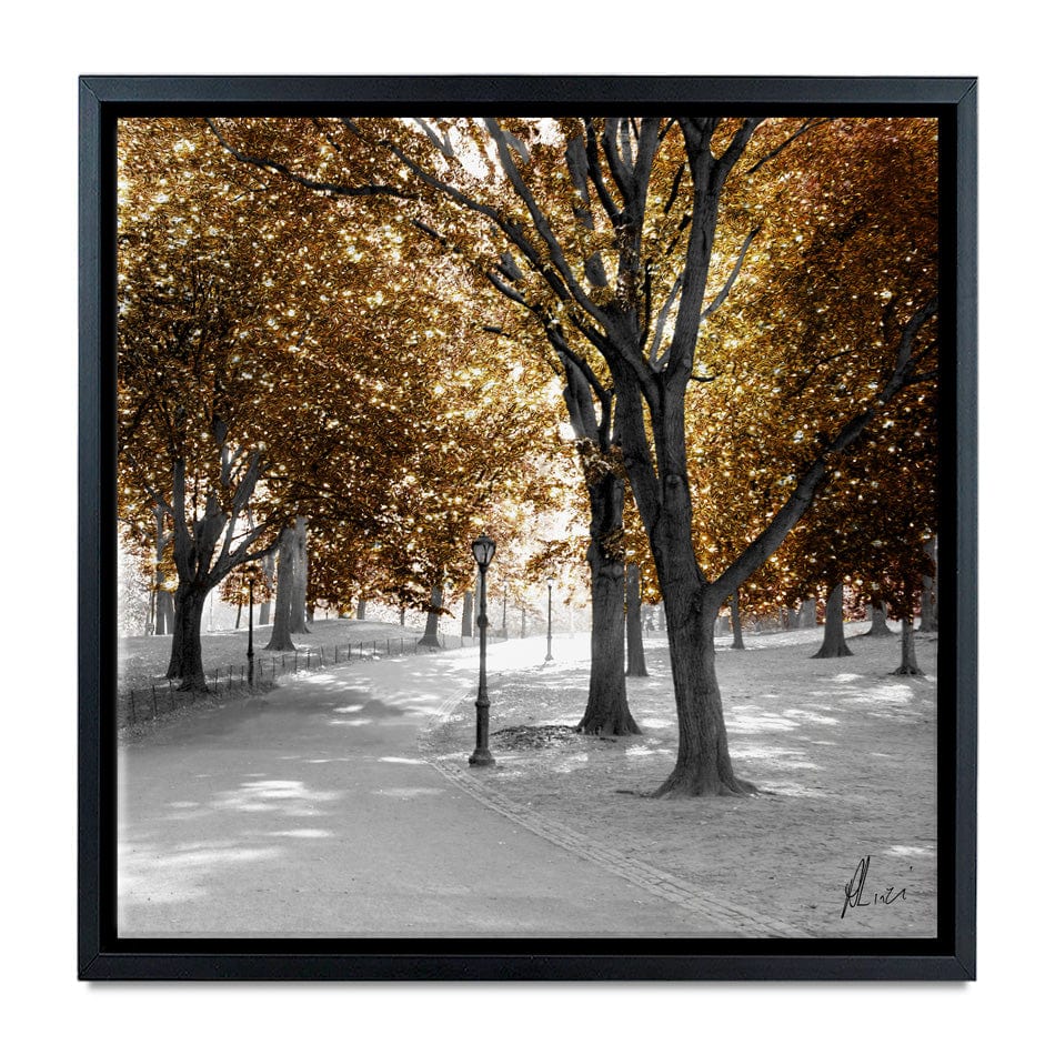 Gold Path Canvas Print wall art product Aimee Linzi