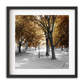 Gold Path Framed Art Print wall art product Aimee Linzi