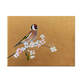 Goldfinch On Cherry Blossom Canvas Print Goldfinch On Cherry Blossom Canvas Print wall art product Laure Bury