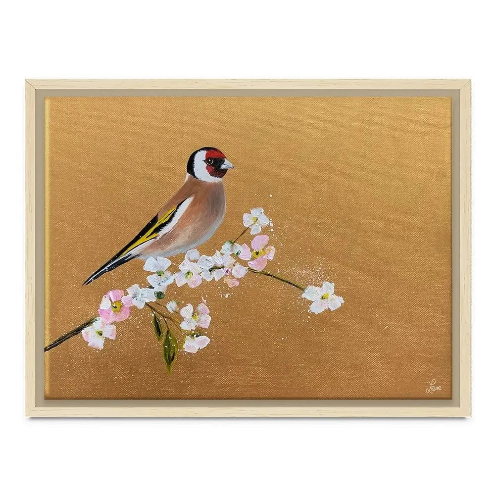 Goldfinch On Cherry Blossom Canvas Print Goldfinch On Cherry Blossom Canvas Print wall art product Laure Bury