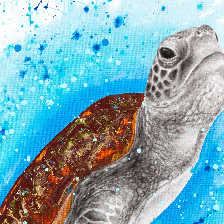 Happy Sea Turtle Framed Art Print wall art product Ashvin Harrison