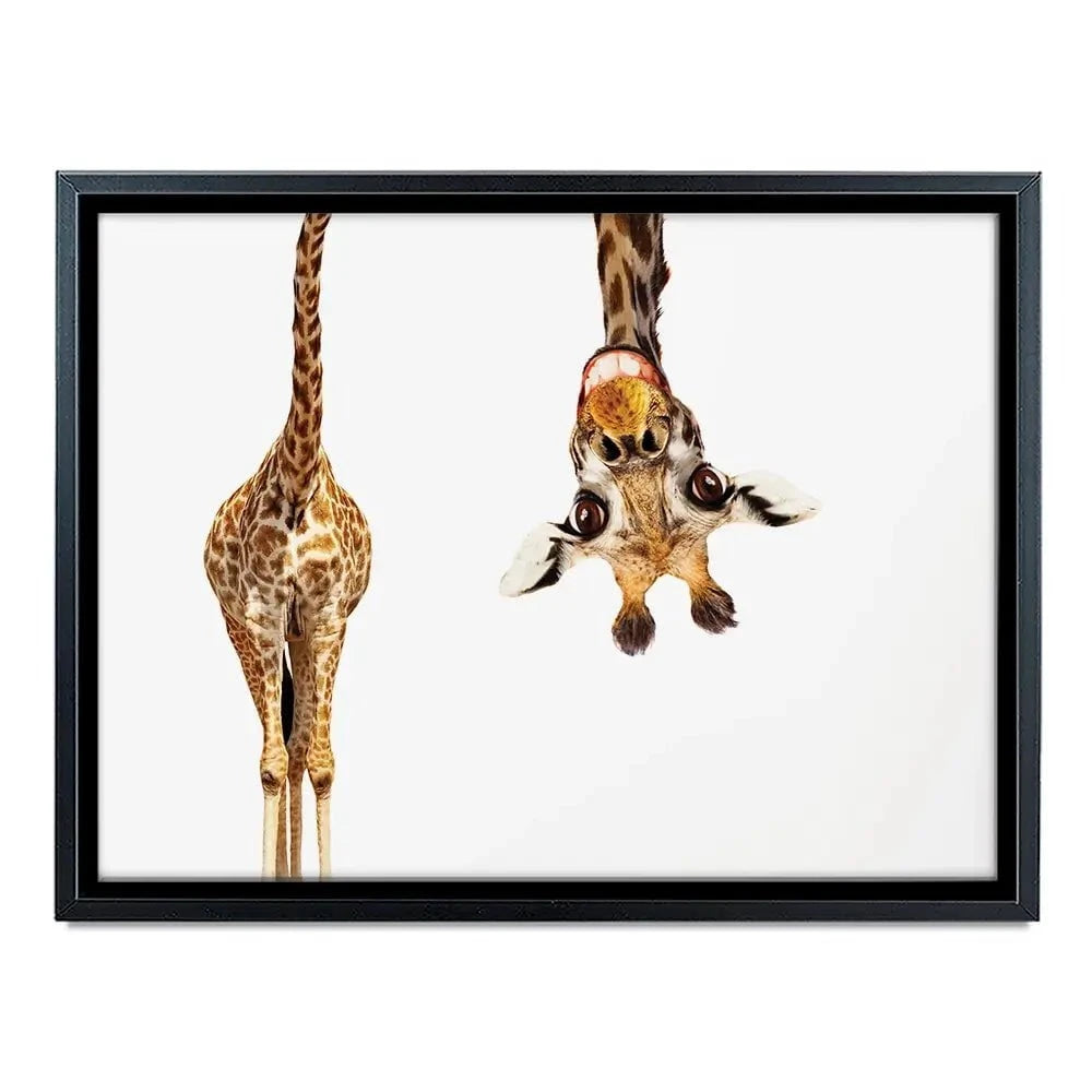 Happy Upside Down Giraffe Canvas Print Happy Upside Down Giraffe Canvas Print wall art product Sergey Novikov / Shutterstock
