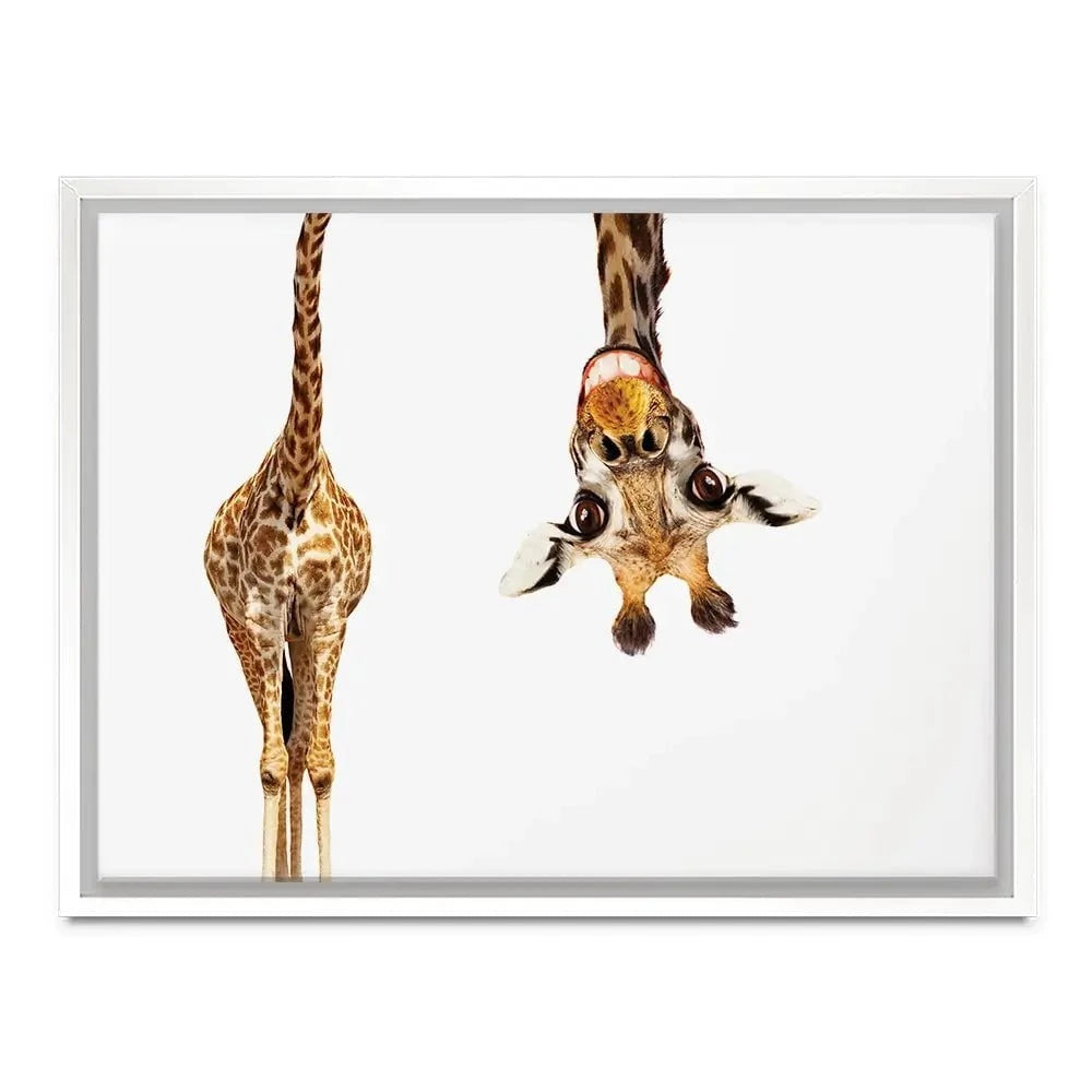 Happy Upside Down Giraffe Canvas Print Happy Upside Down Giraffe Canvas Print wall art product Sergey Novikov / Shutterstock