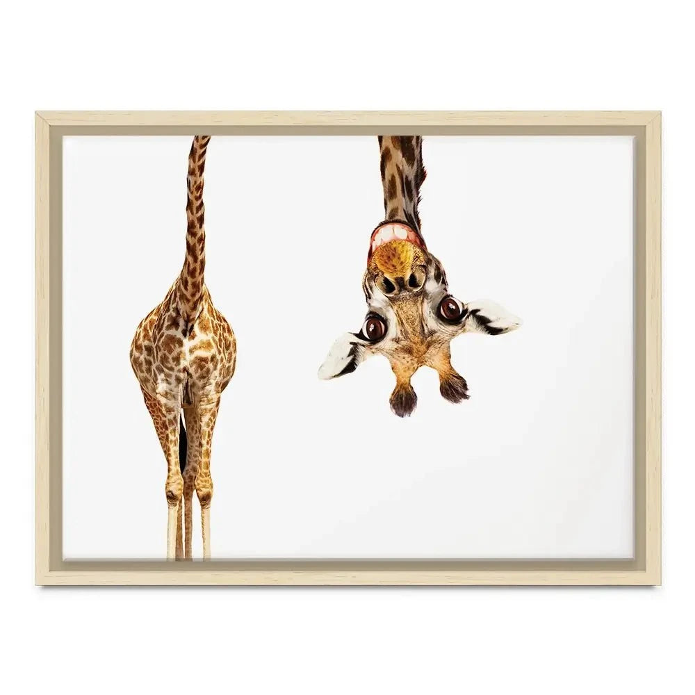 Happy Upside Down Giraffe Canvas Print Happy Upside Down Giraffe Canvas Print wall art product Sergey Novikov / Shutterstock