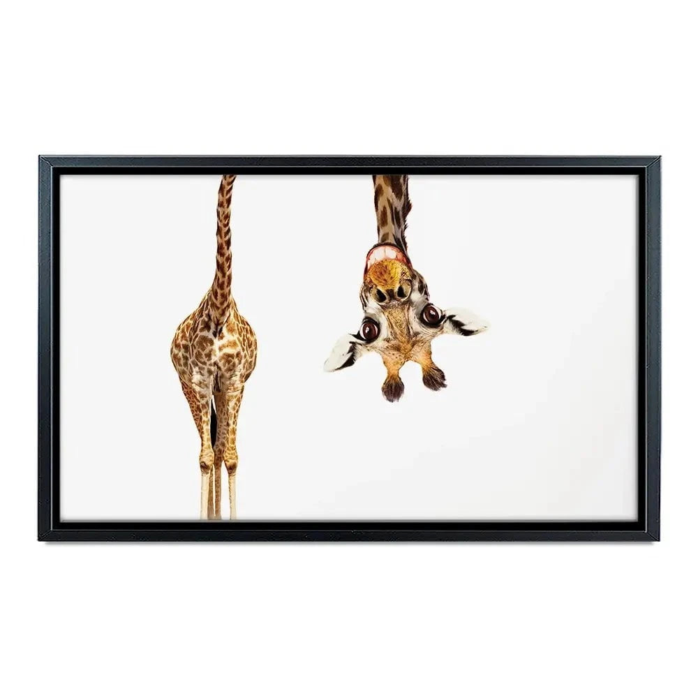 Happy Upside Down Giraffe Canvas Print Happy Upside Down Giraffe Canvas Print wall art product Sergey Novikov / Shutterstock