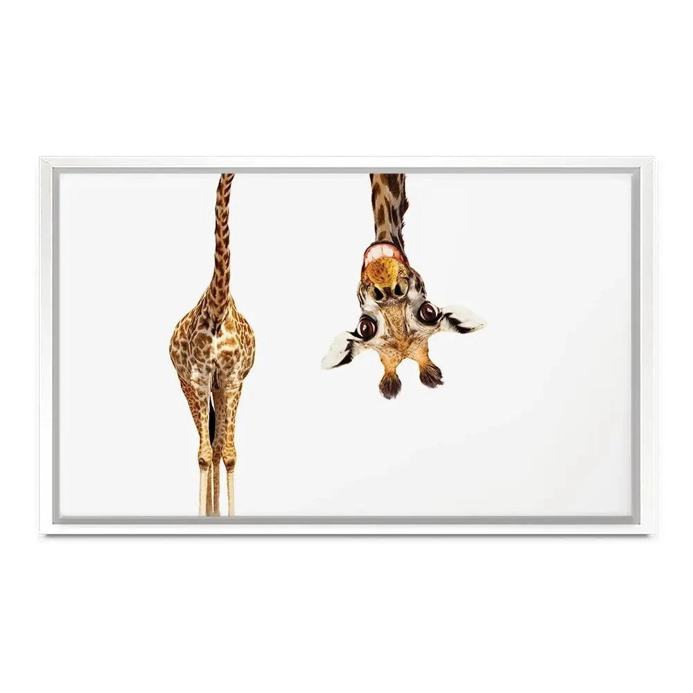 Happy Upside Down Giraffe Canvas Print Happy Upside Down Giraffe Canvas Print wall art product Sergey Novikov / Shutterstock
