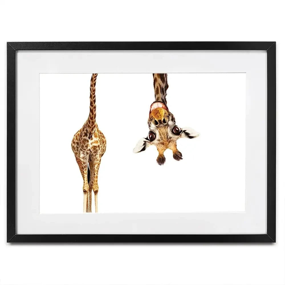 Happy Upside Down Giraffe Framed Art Print Happy Upside Down Giraffe Framed Art Print wall art product Sergey Novikov / Shutterstock