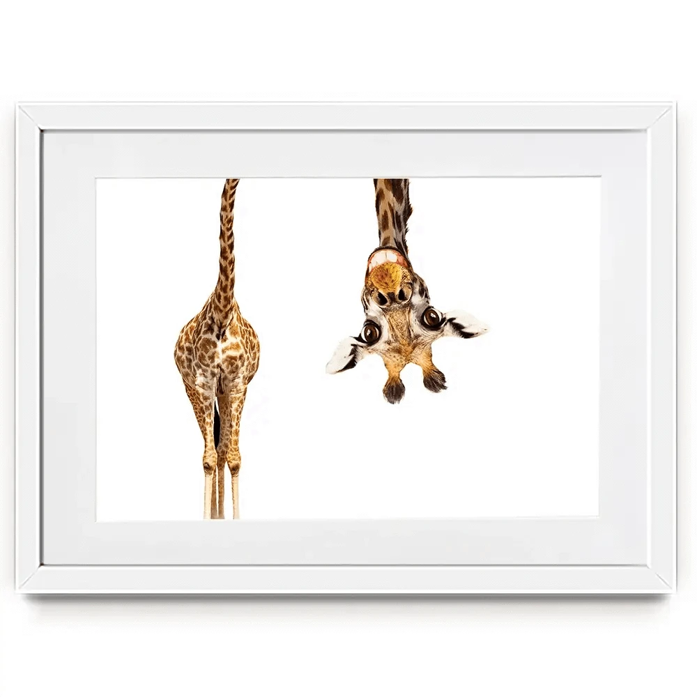 Happy Upside Down Giraffe Framed Art Print Happy Upside Down Giraffe Framed Art Print wall art product Sergey Novikov / Shutterstock