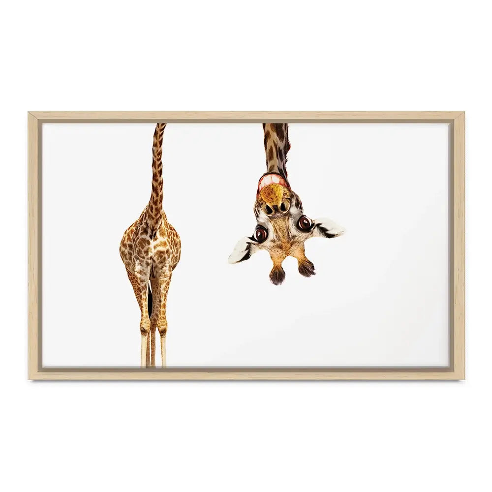 Happy Upside Down Giraffe Oversized Canvas Print Happy Upside Down Giraffe Oversized Canvas Print wall art product Art Print Shop