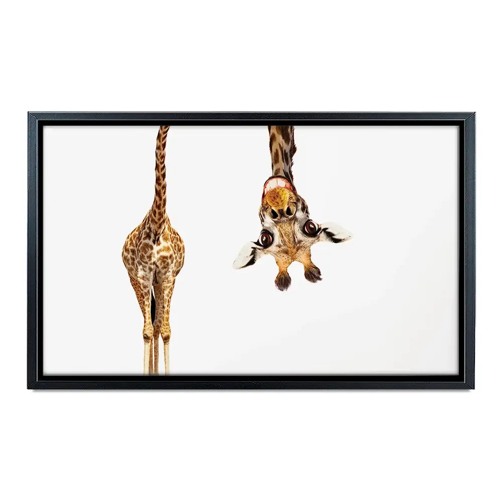 Happy Upside Down Giraffe Oversized Canvas Print Happy Upside Down Giraffe Oversized Canvas Print wall art product Art Print Shop