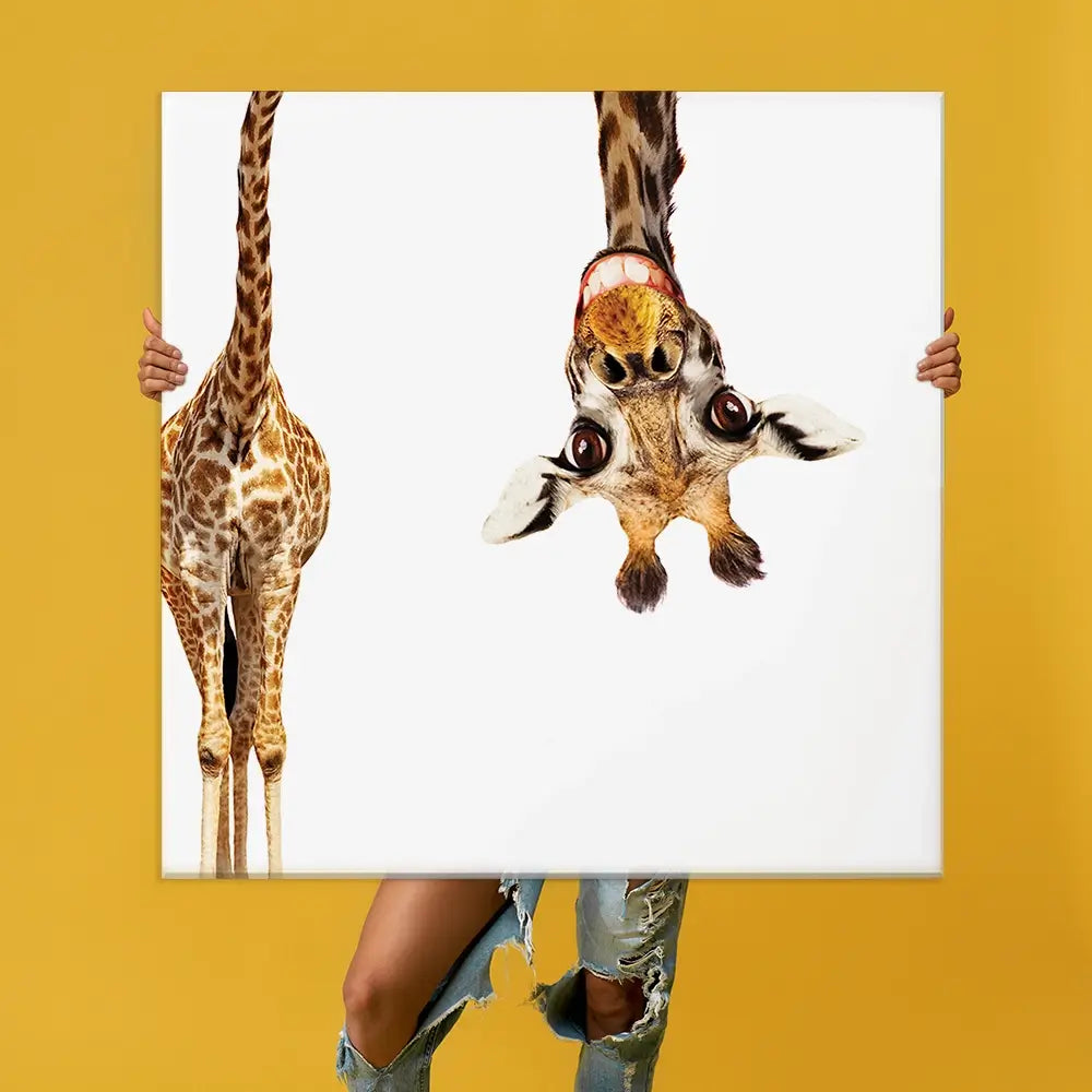 Happy Upside Down Giraffe Oversized Canvas Print Happy Upside Down Giraffe Oversized Canvas Print wall art product Art Print Shop