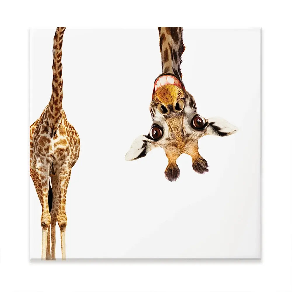 Happy Upside Down Giraffe Oversized Canvas Print Happy Upside Down Giraffe Oversized Canvas Print wall art product Art Print Shop