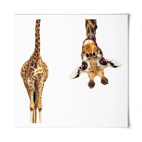 Happy Upside Down Giraffe Square Art Print Happy Upside Down Giraffe Square Art Print wall art product Sergey Novikov / Shutterstock