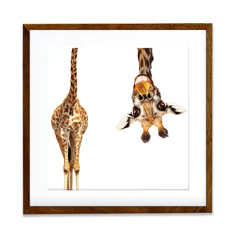 Happy Upside Down Giraffe Square Framed Art Print Happy Upside Down Giraffe Square Framed Art Print wall art product Sergey Novikov / Shutterstock
