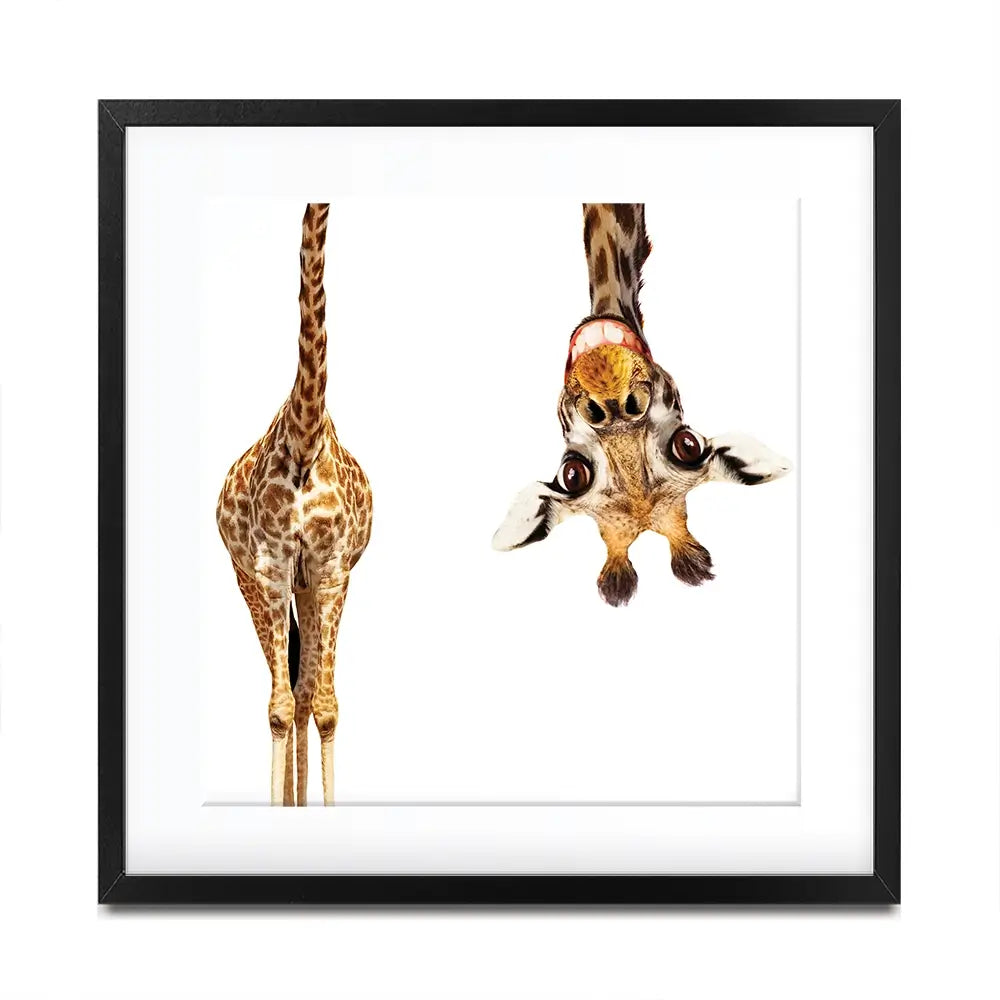 Happy Upside Down Giraffe Square Framed Art Print Happy Upside Down Giraffe Square Framed Art Print wall art product Sergey Novikov / Shutterstock