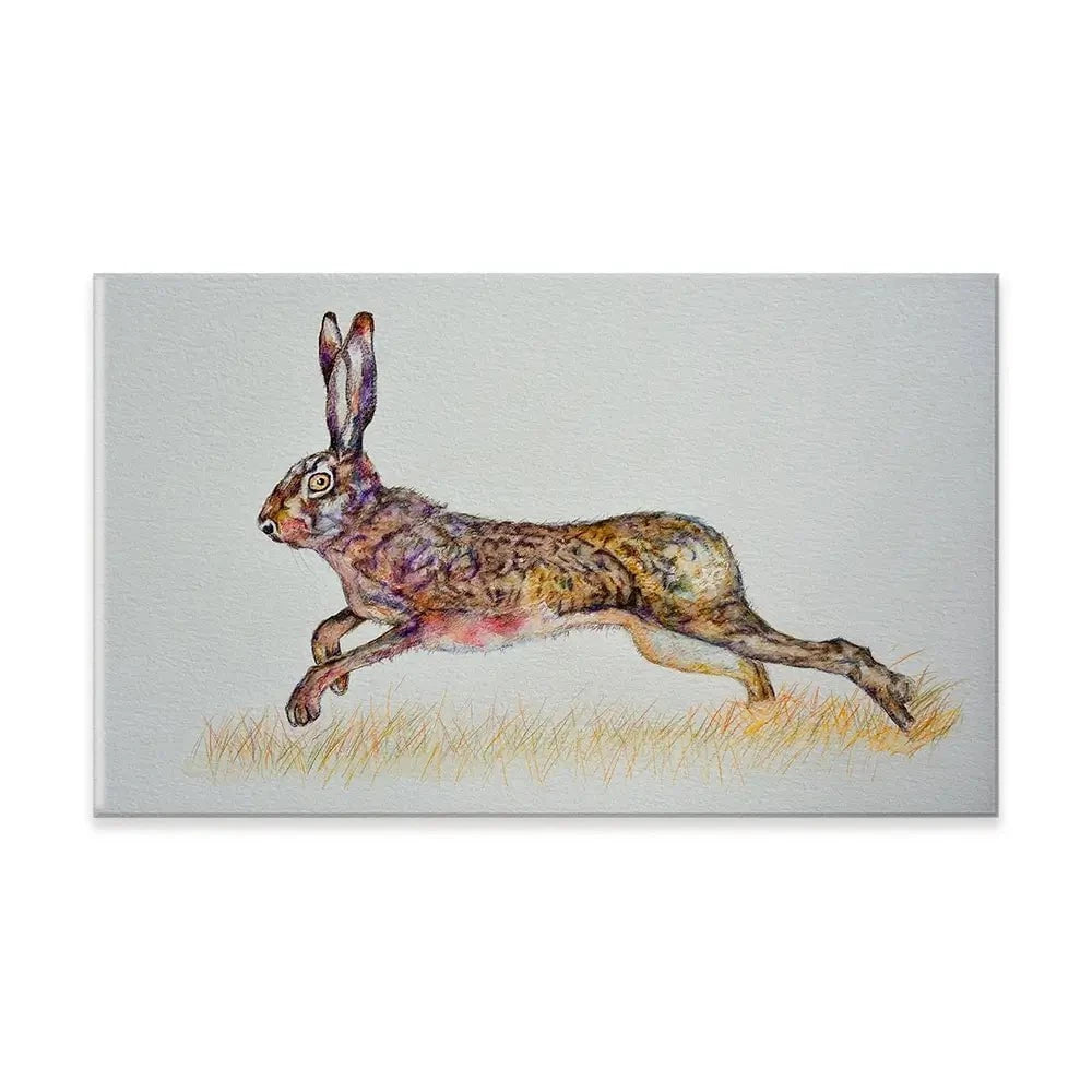 Hare On The Run Canvas Print Hare On The Run Canvas Print wall art product Martin Charles Hatch / Shutterstock