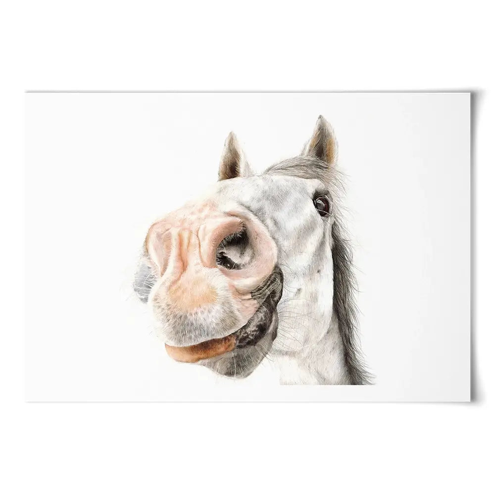 Hello Bailey Art Print Hello Bailey Art Print wall art product Georgie Turner