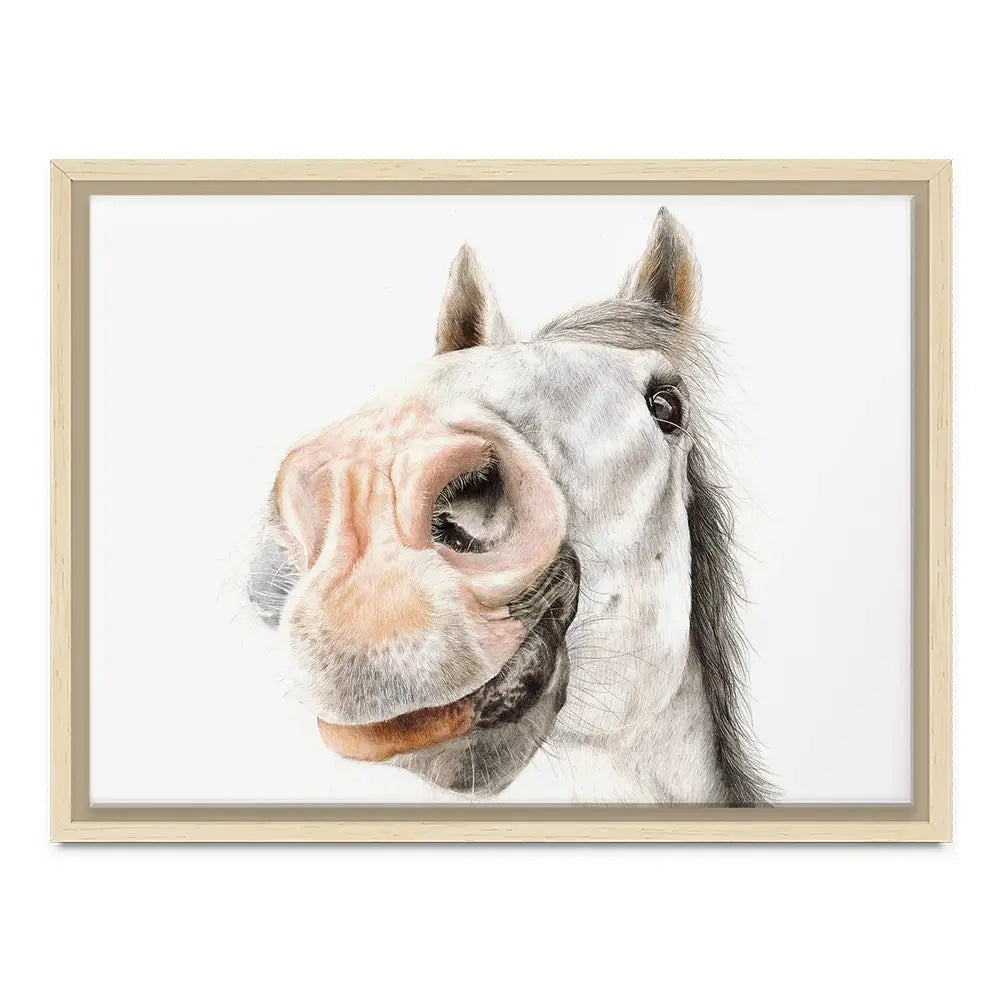 Hello Bailey Canvas Print Hello Bailey Canvas Print wall art product Georgie Turner