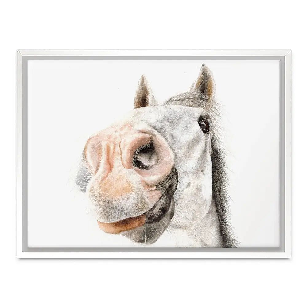 Hello Bailey Canvas Print Hello Bailey Canvas Print wall art product Georgie Turner
