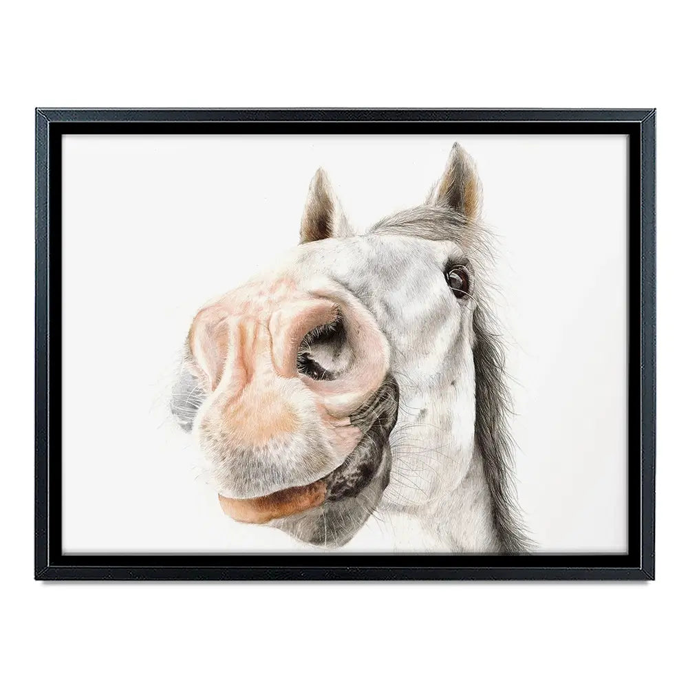 Hello Bailey Canvas Print Hello Bailey Canvas Print wall art product Georgie Turner