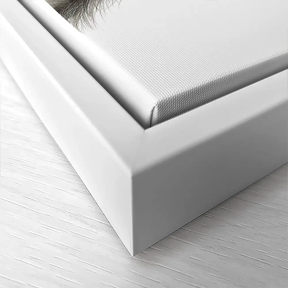 Hello Bailey Canvas Print Hello Bailey Canvas Print wall art product Georgie Turner