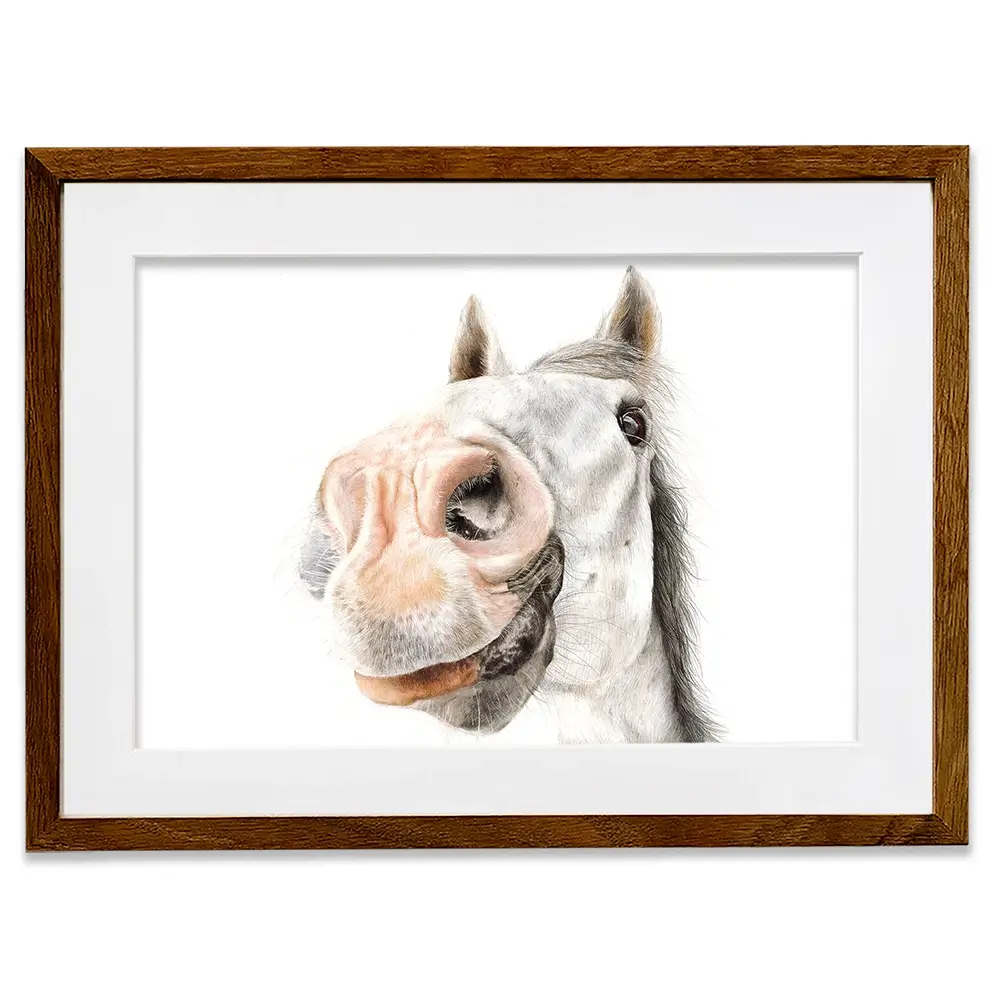 Hello Bailey Framed Art Print Hello Bailey Framed Art Print wall art product Georgie Turner