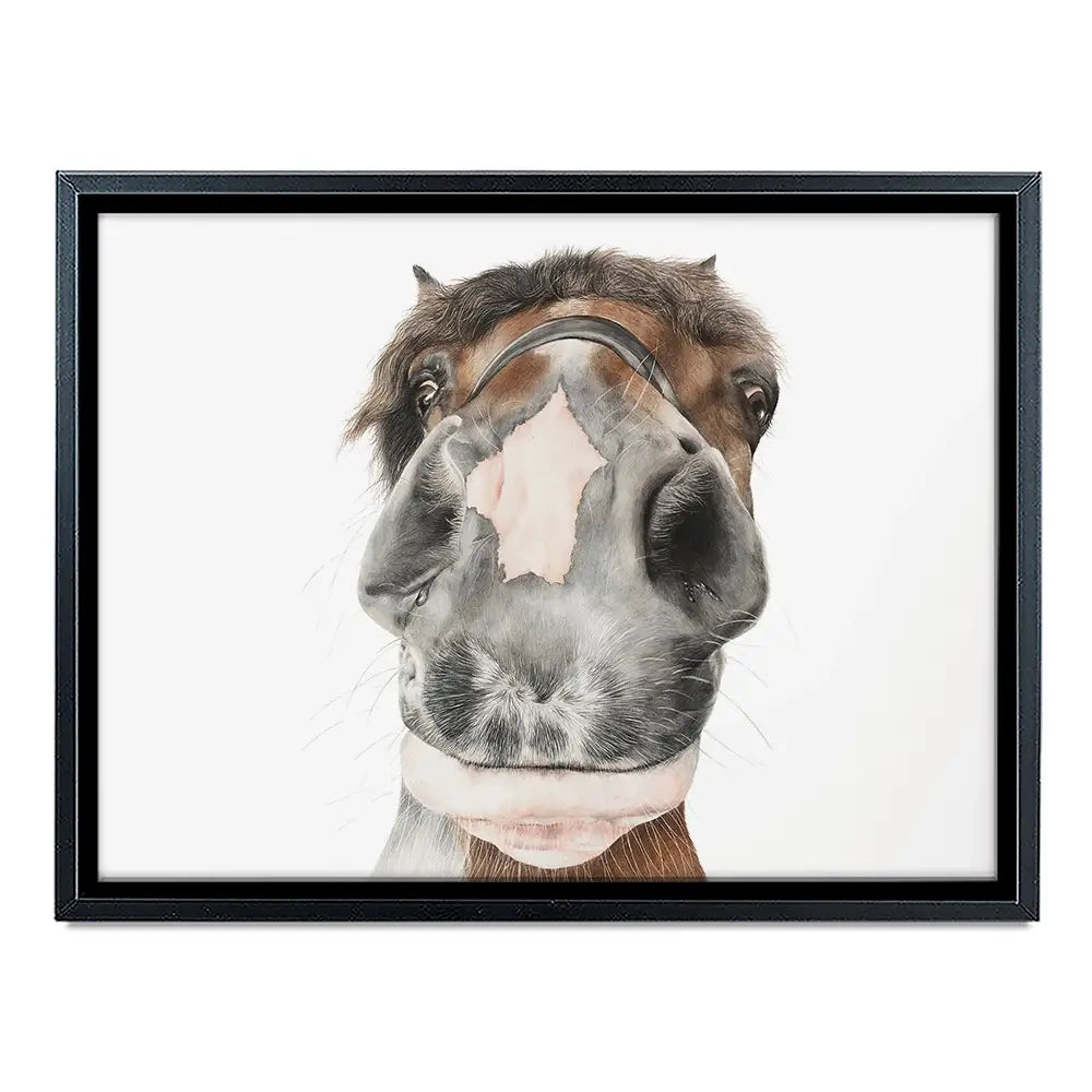 Hello Polly Canvas Print Hello Polly Canvas Print wall art product Georgie Turner