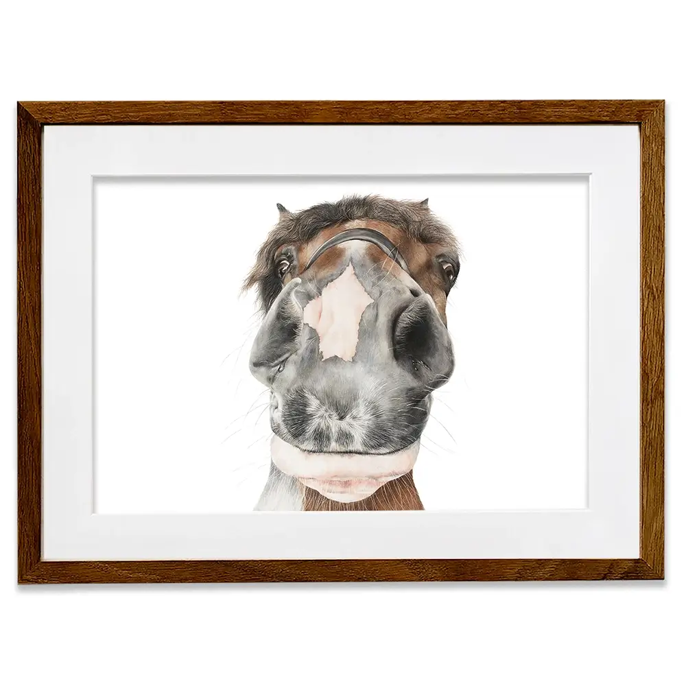 Hello Polly Framed Art Print Hello Polly Framed Art Print wall art product Georgie Turner