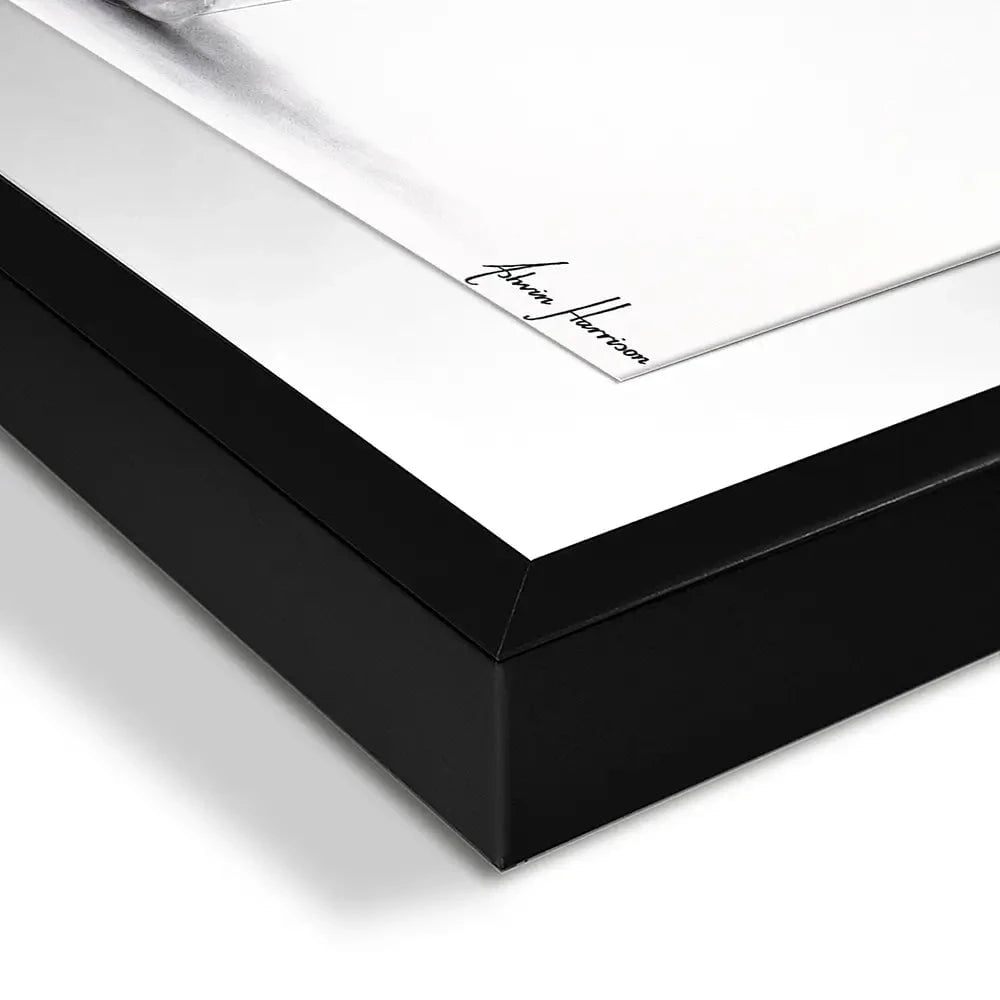 Highland Celebration Framed Art Print Highland Celebration Framed Art Print wall art product Ashvin Harrison