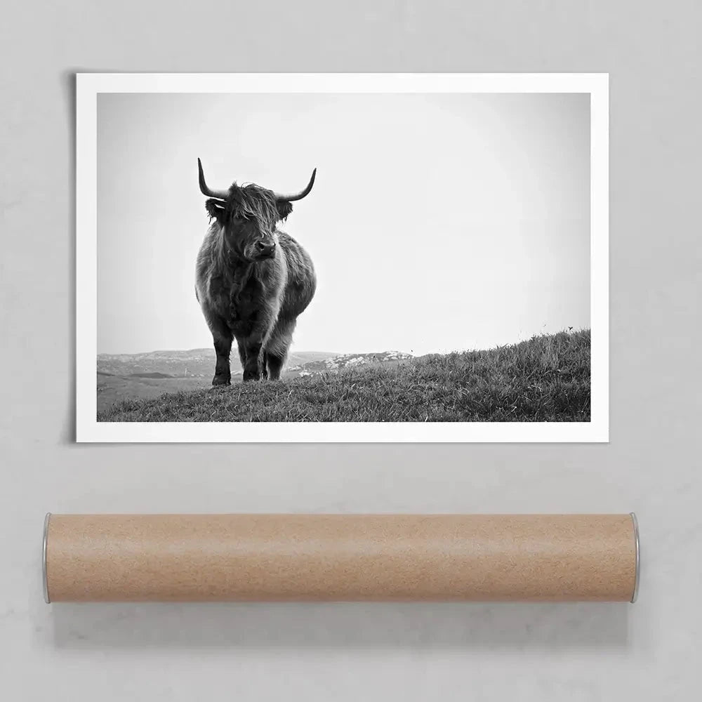 Highland Cow In The Distance Art Print Highland Cow In The Distance Art Print wall art product Eleanor Hamilton / Shutterstock