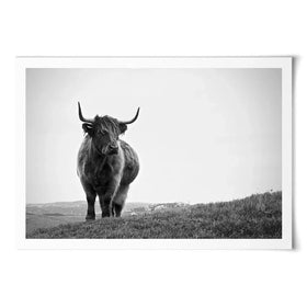 Highland Cow In The Distance Art Print Highland Cow In The Distance Art Print wall art product Eleanor Hamilton / Shutterstock