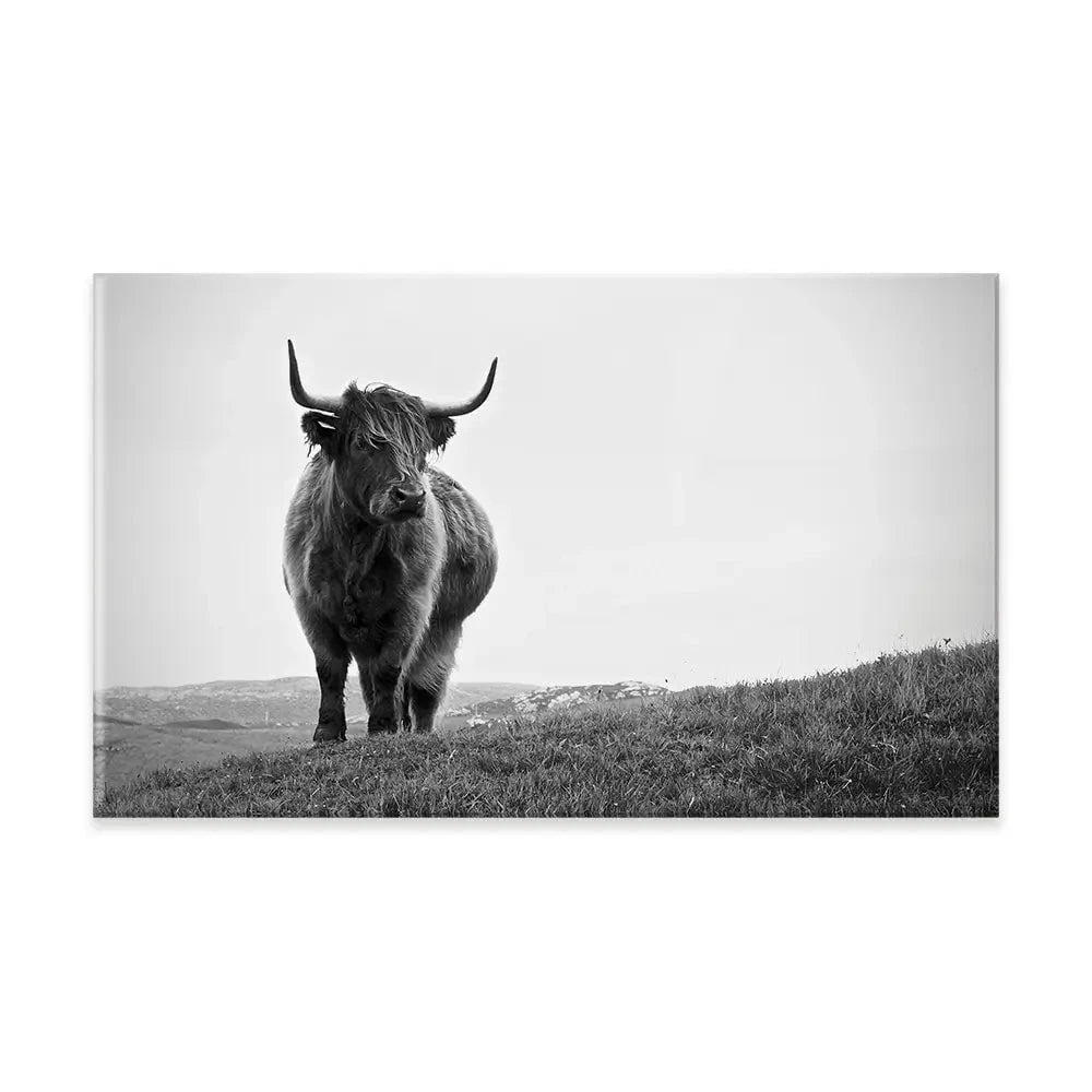 Highland Cow In The Distance Canvas Print Highland Cow In The Distance Canvas Print wall art product Eleanor Hamilton / Shutterstock