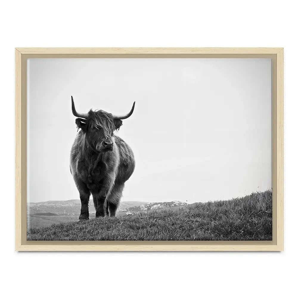Highland Cow In The Distance Canvas Print Highland Cow In The Distance Canvas Print wall art product Eleanor Hamilton / Shutterstock