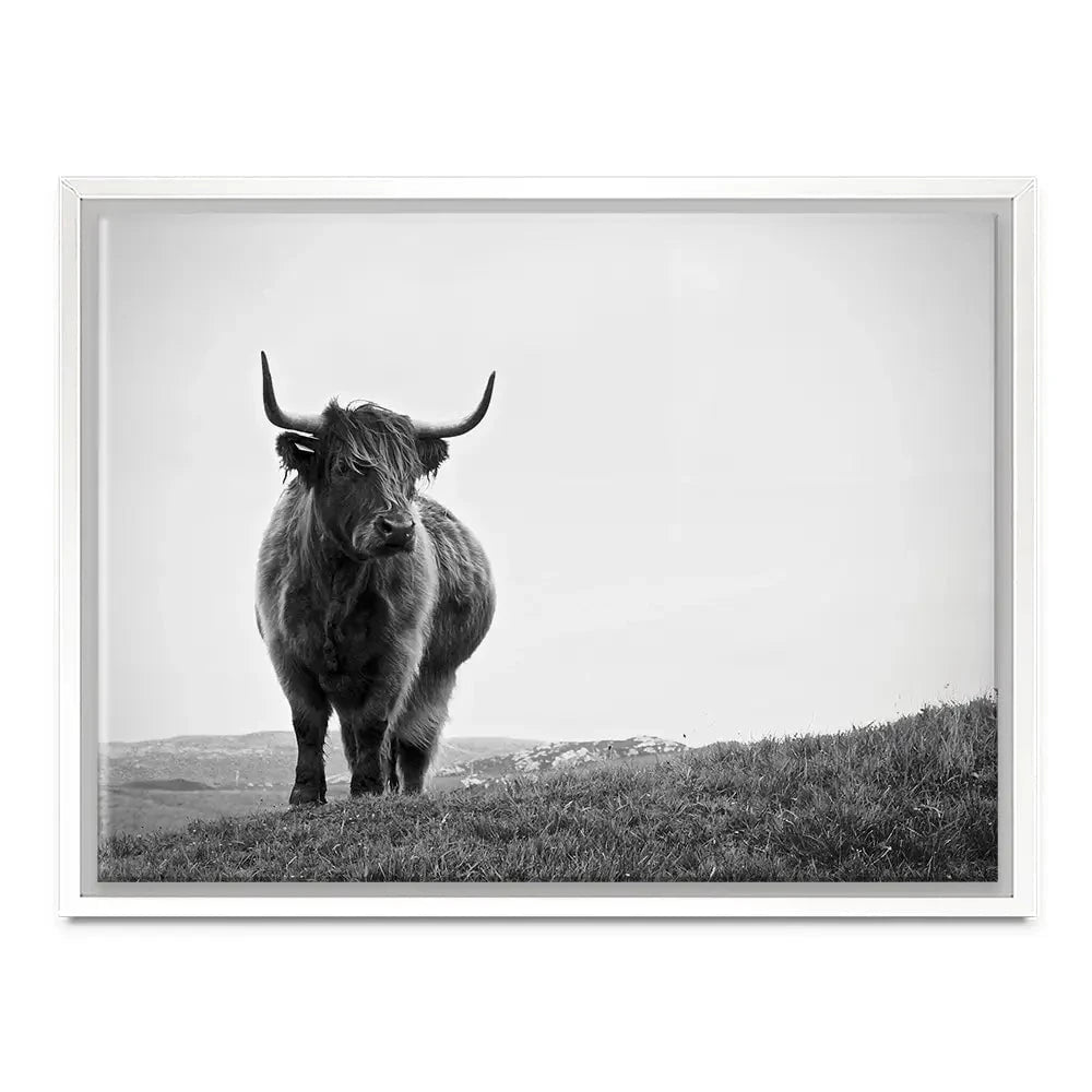 Highland Cow In The Distance Canvas Print Highland Cow In The Distance Canvas Print wall art product Eleanor Hamilton / Shutterstock