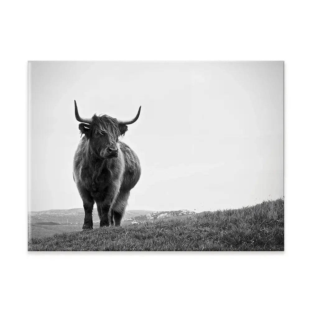 Highland Cow In The Distance Canvas Print Highland Cow In The Distance Canvas Print wall art product Eleanor Hamilton / Shutterstock