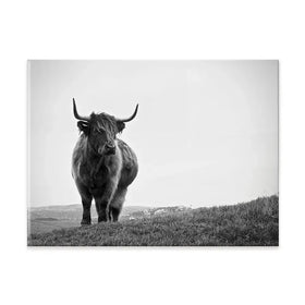 Highland Cow In The Distance Canvas Print Highland Cow In The Distance Canvas Print wall art product Eleanor Hamilton / Shutterstock