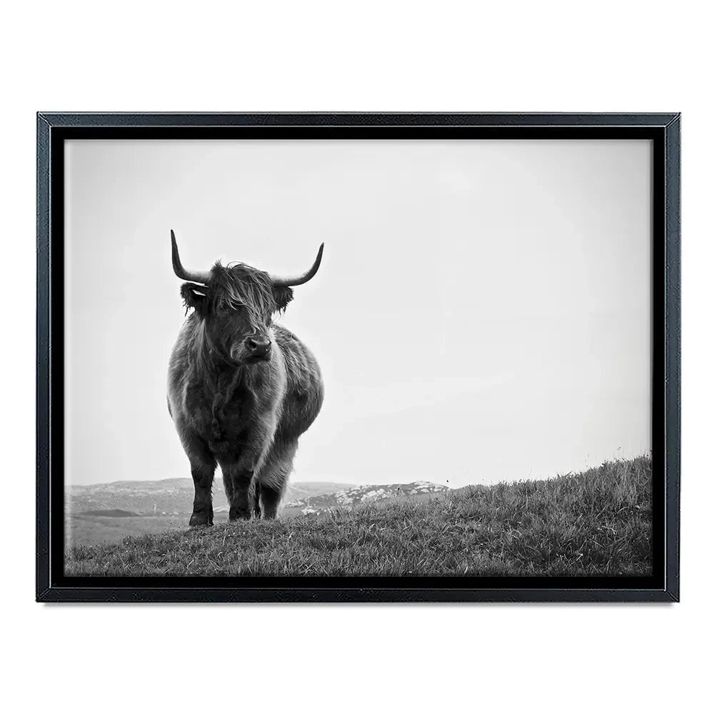 Highland Cow In The Distance Canvas Print Highland Cow In The Distance Canvas Print wall art product Eleanor Hamilton / Shutterstock