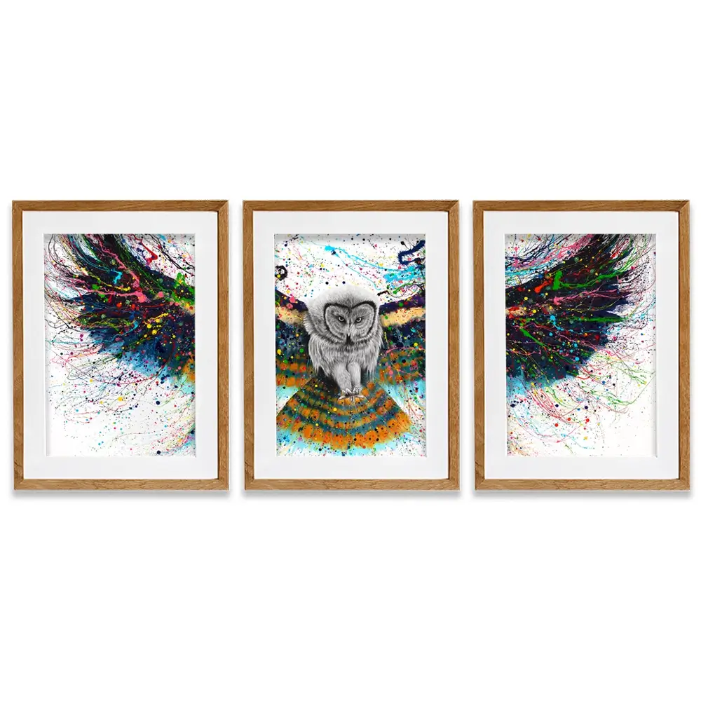 Hypnotic Twilight Owl Framed Art Print Trio Hypnotic Twilight Owl Framed Art Print Trio wall art product Ashvin Harrison