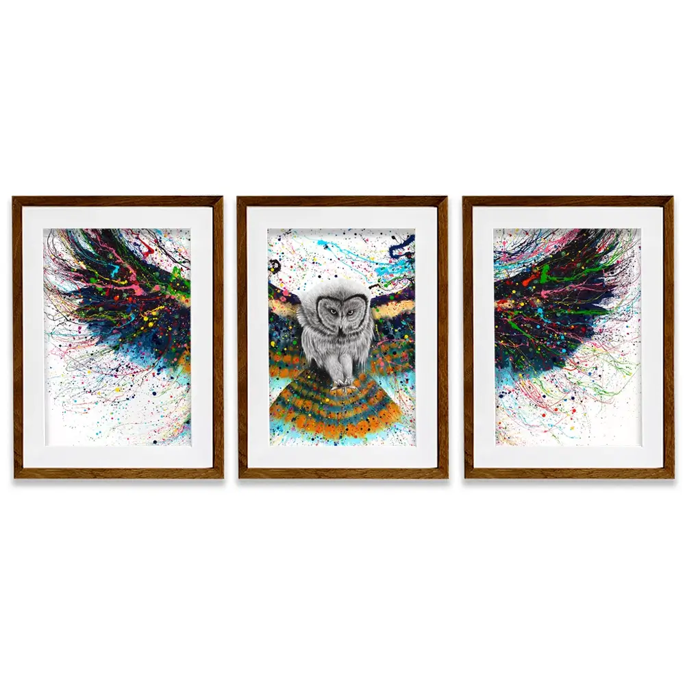 Hypnotic Twilight Owl Framed Art Print Trio Hypnotic Twilight Owl Framed Art Print Trio wall art product Ashvin Harrison